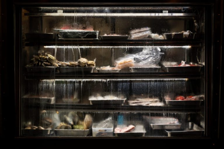 Conoce cómo conservar alimentos en nuestro frigorífico o cámara frigorífica